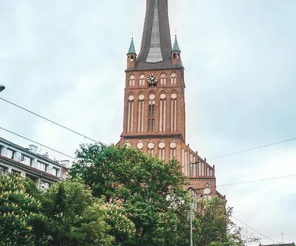 Wyszyńskiego Apartament *